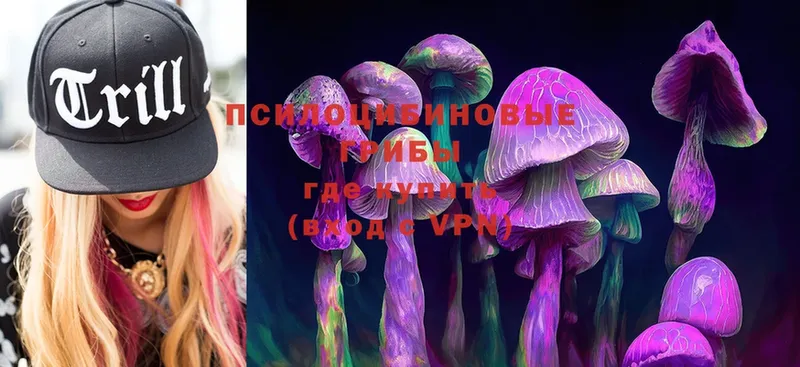 Псилоцибиновые грибы Magic Shrooms  купить наркоту  Лагань 