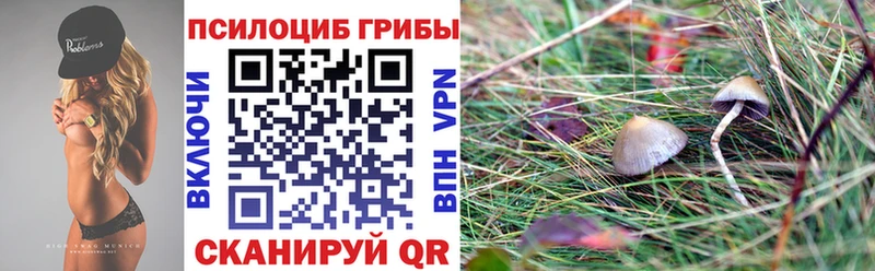 Галлюциногенные грибы GOLDEN TEACHER  даркнет наркотические препараты  Лагань 